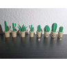 8 stk. Kaktus Køleskabsmagneter – Søde mini-planter i potte